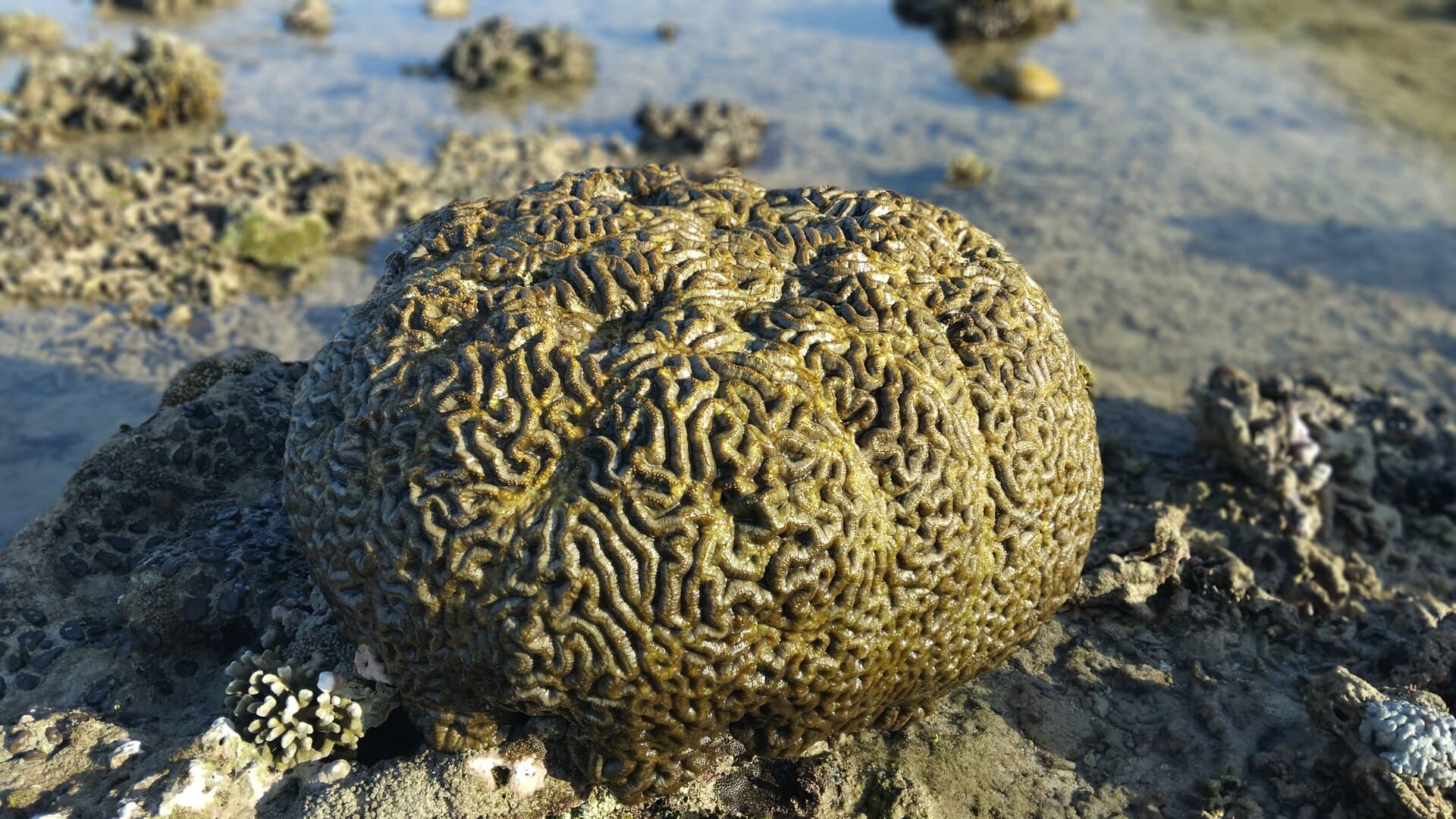 Pemandangan Lombok