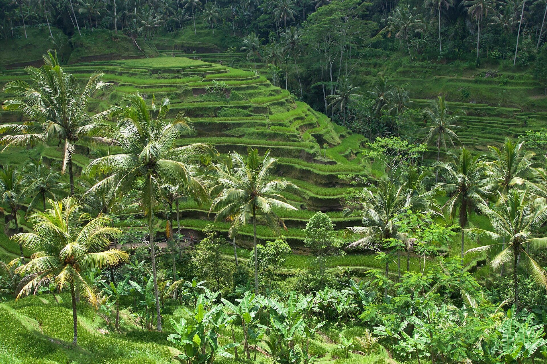 Perjalanan bersama Nusantara Travel